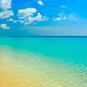 Meet your Posher, Anja